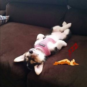 Meet your Posher, Sue